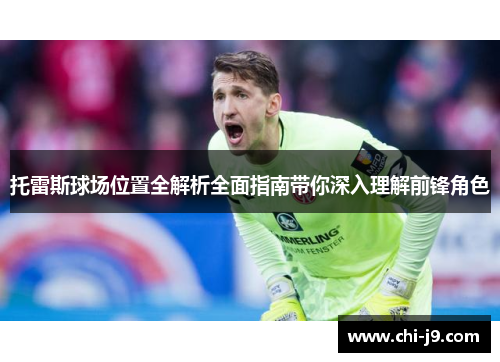 托雷斯球场位置全解析全面指南带你深入理解前锋角色