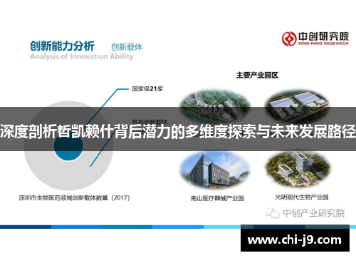 深度剖析哲凯赖什背后潜力的多维度探索与未来发展路径 深度剖析哲凯赖什背后潜力的多维度探索与未来发展路径