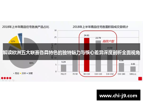 解读欧洲五大联赛各具特色的独特魅力与核心差异深度剖析全面视角