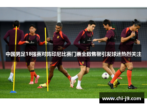 中国男足18强赛对阵印尼比赛门票全数售罄引发球迷热烈关注