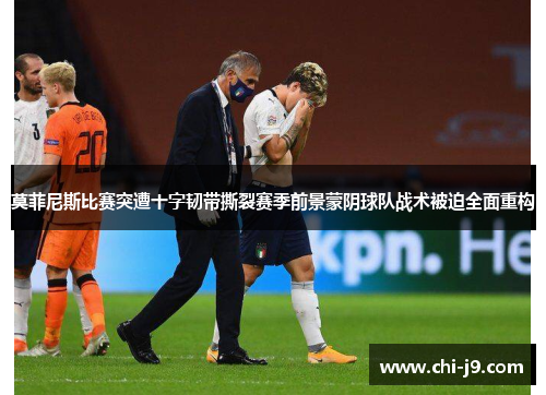 莫菲尼斯比赛突遭十字韧带撕裂赛季前景蒙阴球队战术被迫全面重构