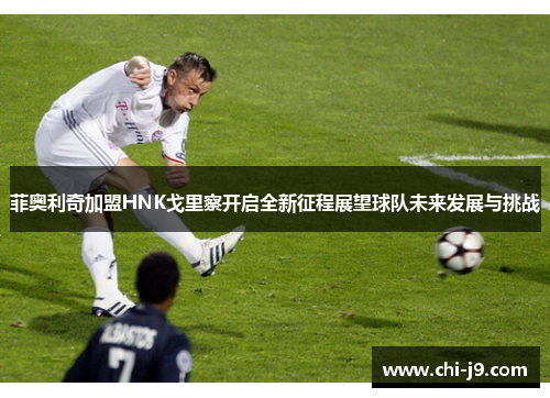 菲奥利奇加盟HNK戈里察开启全新征程展望球队未来发展与挑战