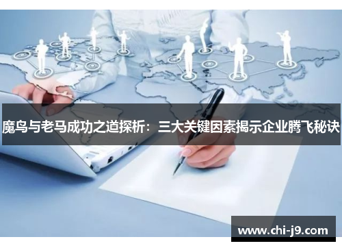 魔鸟与老马成功之道探析：三大关键因素揭示企业腾飞秘诀